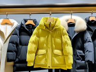 选对羽绒服，温暖与时尚并存，服选购指南，保暖与时尚的完美结合
